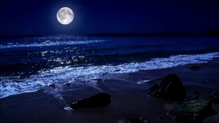 Gece…