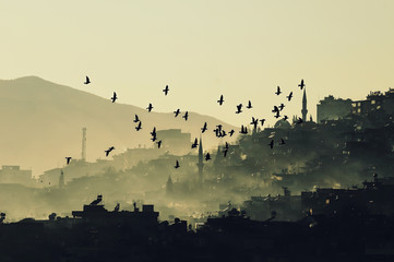 Kayıp Gölgeler