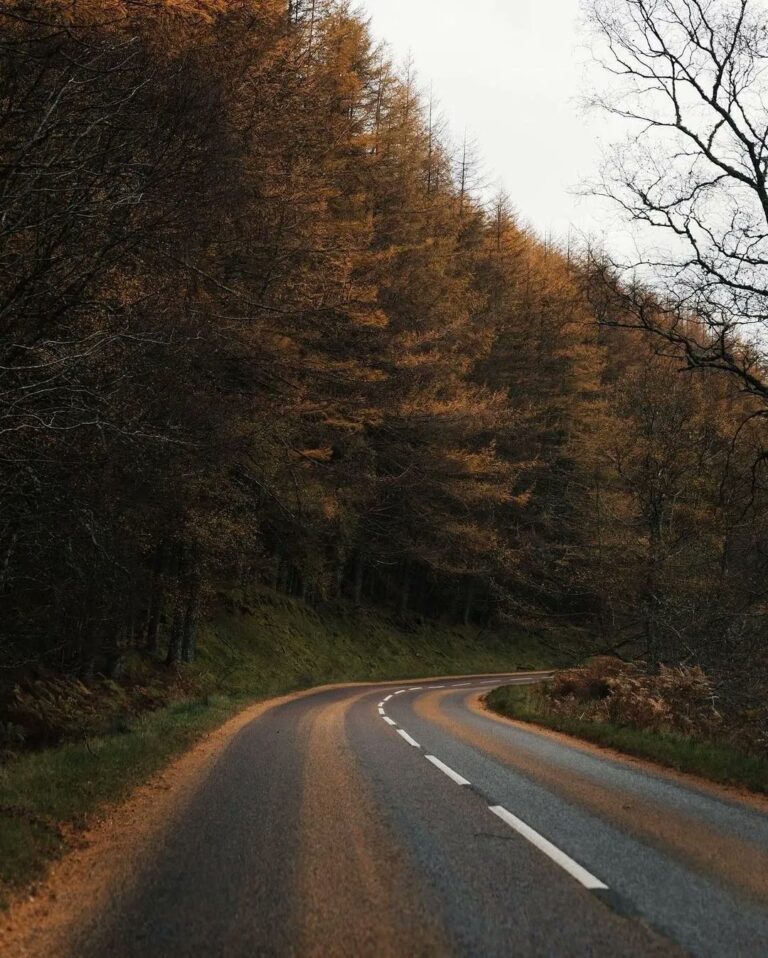Yol Uzun