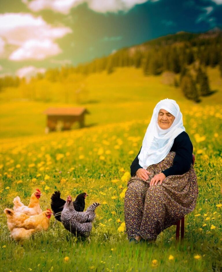 Yorgun Gözkapakları