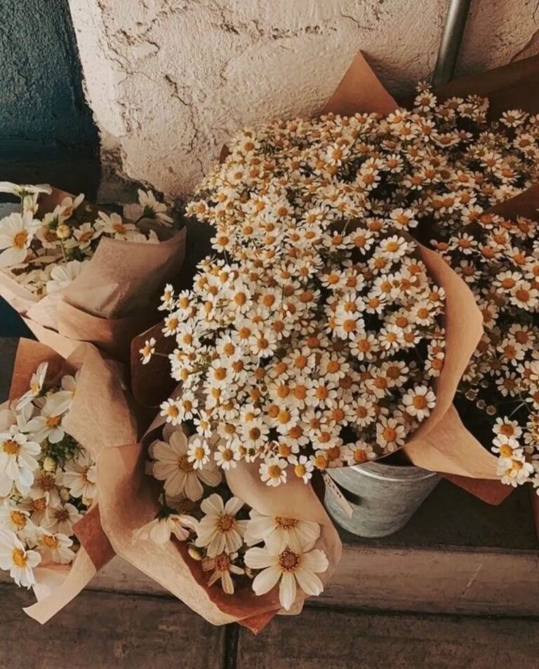 Şiirler Yasak Bana