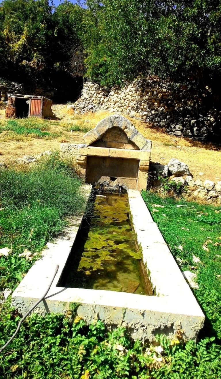Güzellikler Yok Olmadan