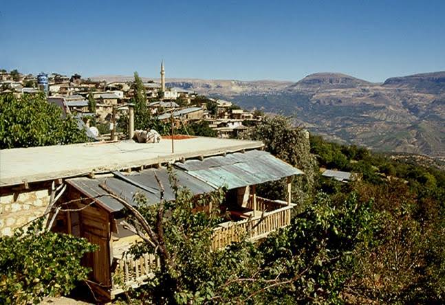 Hayat