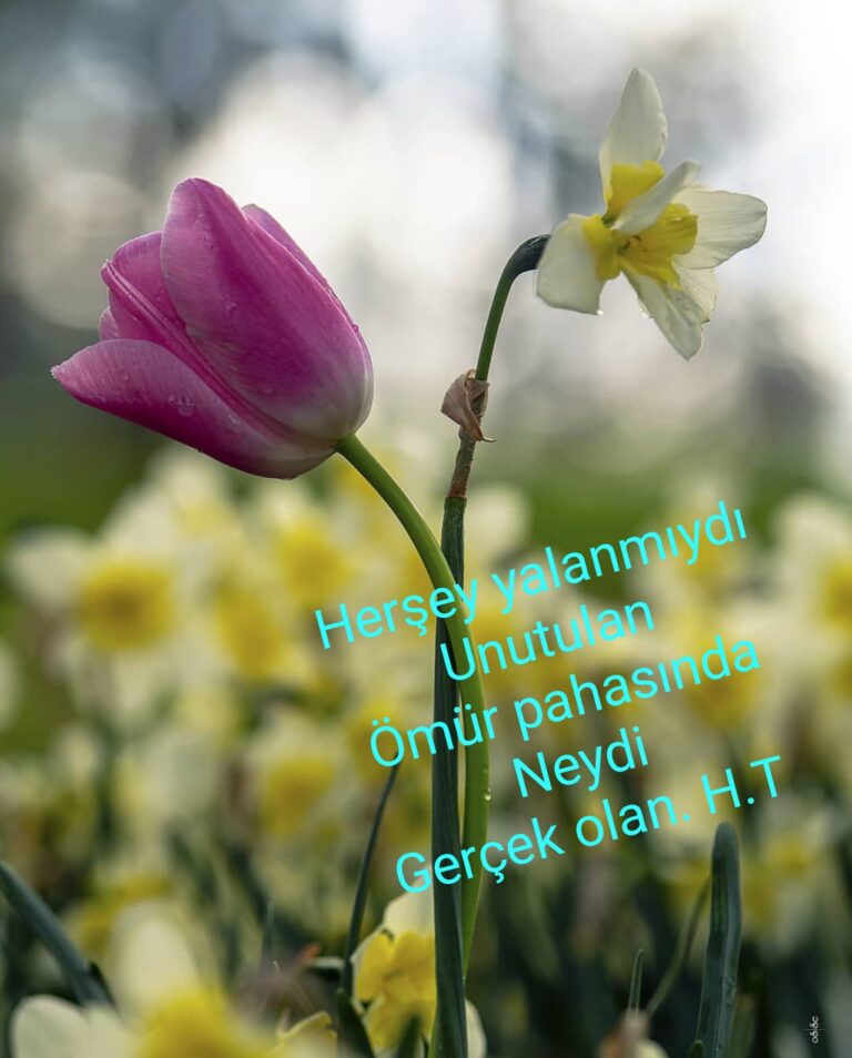 Herşey Yalan