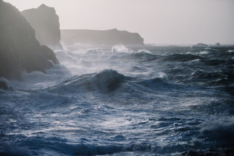 Pupa Feneri