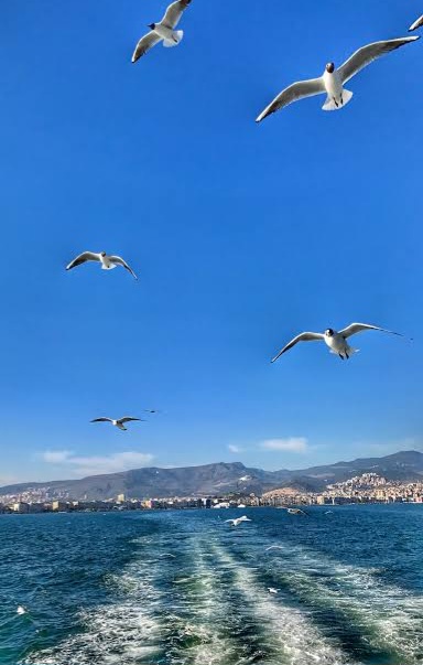 Yanlızlığa Vedalar